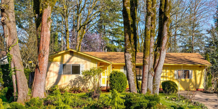 Yellow ranch house surrounded by trees.