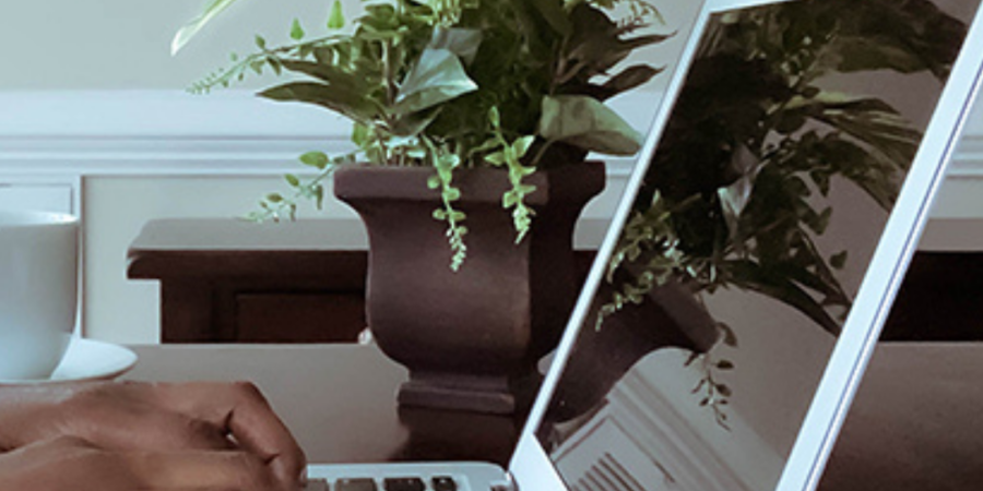 Person typing on laptop near plant.