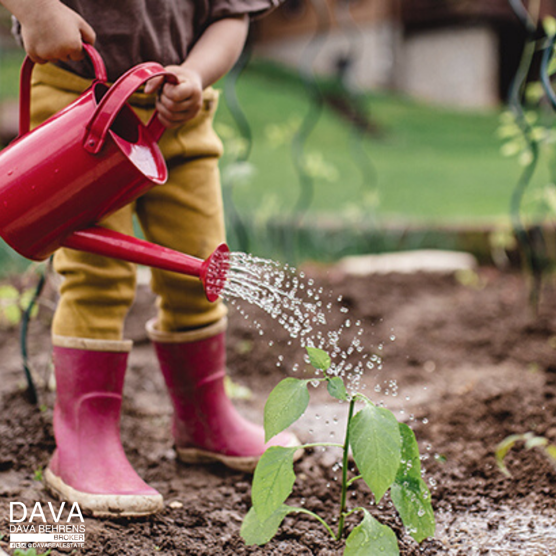 Child watering a plant with a red can.