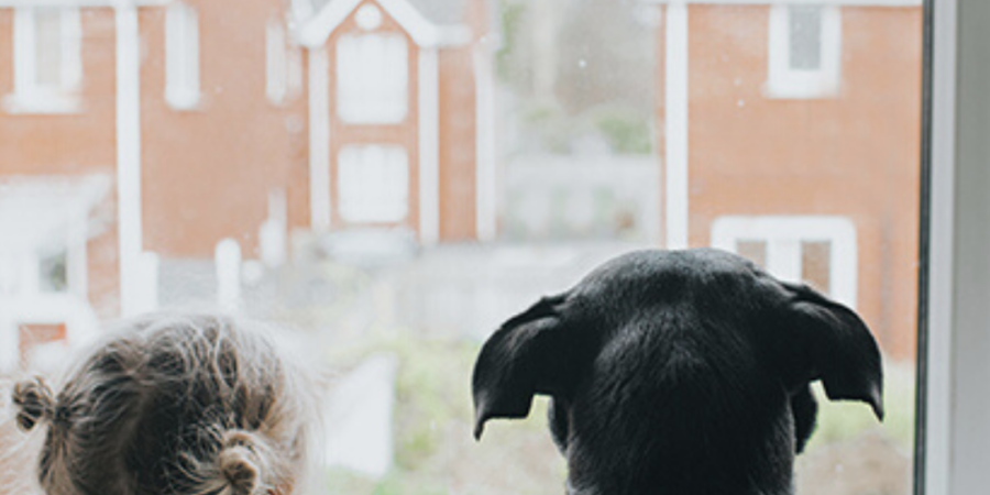 Child and dog looking out window.