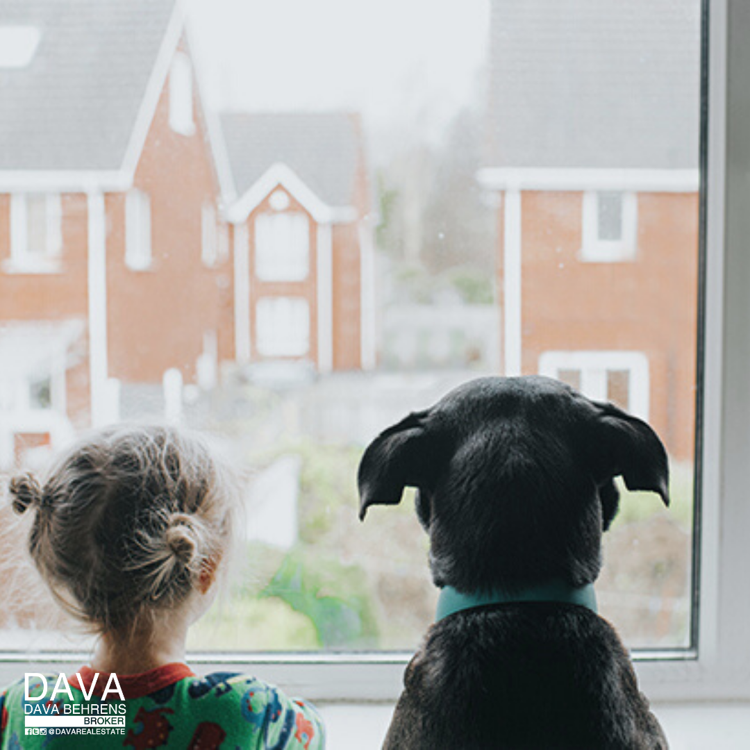 Child and dog looking out window.