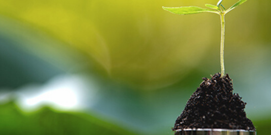 Seedling growing on stacked coins.