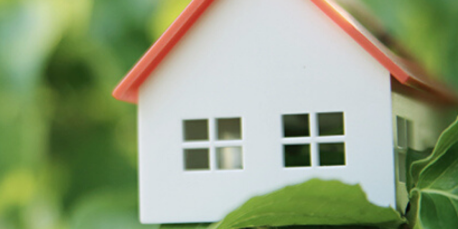 Small house model in green leaves.