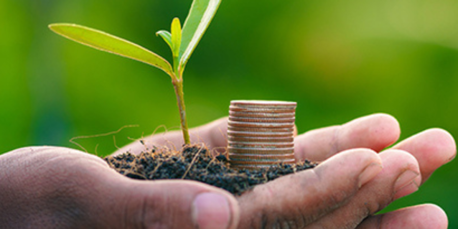 Hands holding plant and coins, growth.