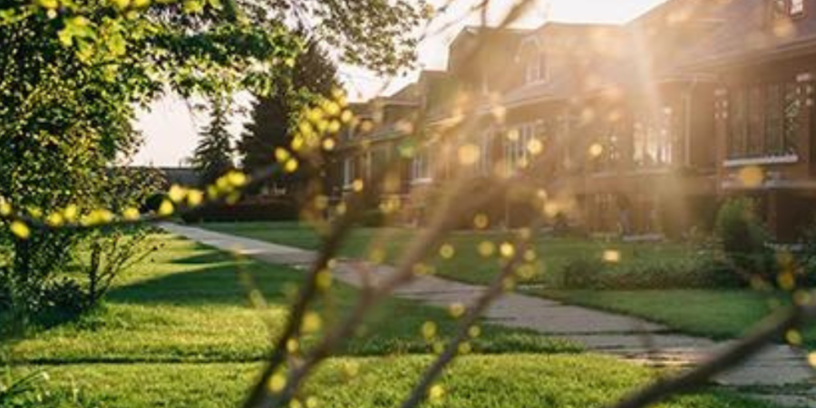 Sunny suburban street with houses.