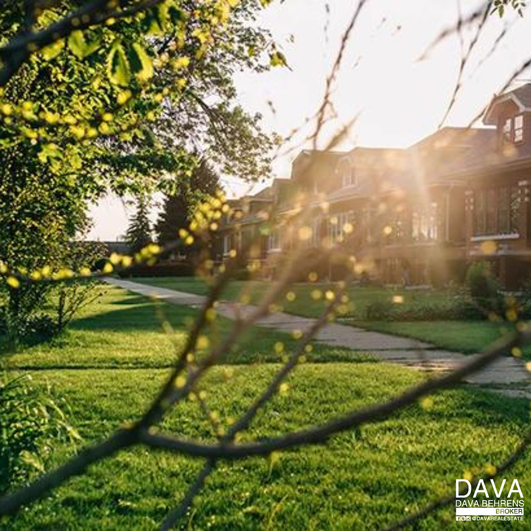 Sunny suburban street with houses.