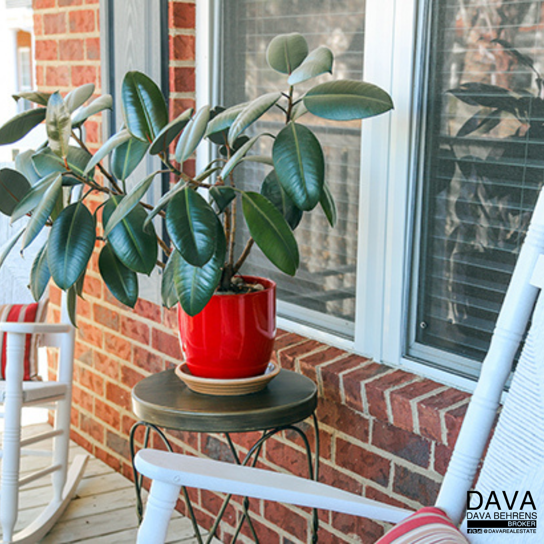 Red pot plant on porch rocking chair.