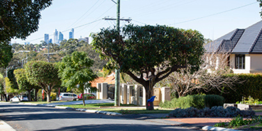 Suburban street scene with houses and trees.