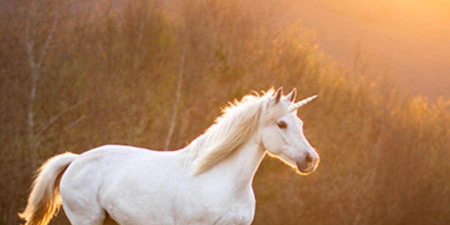 White unicorn running in sunset field.