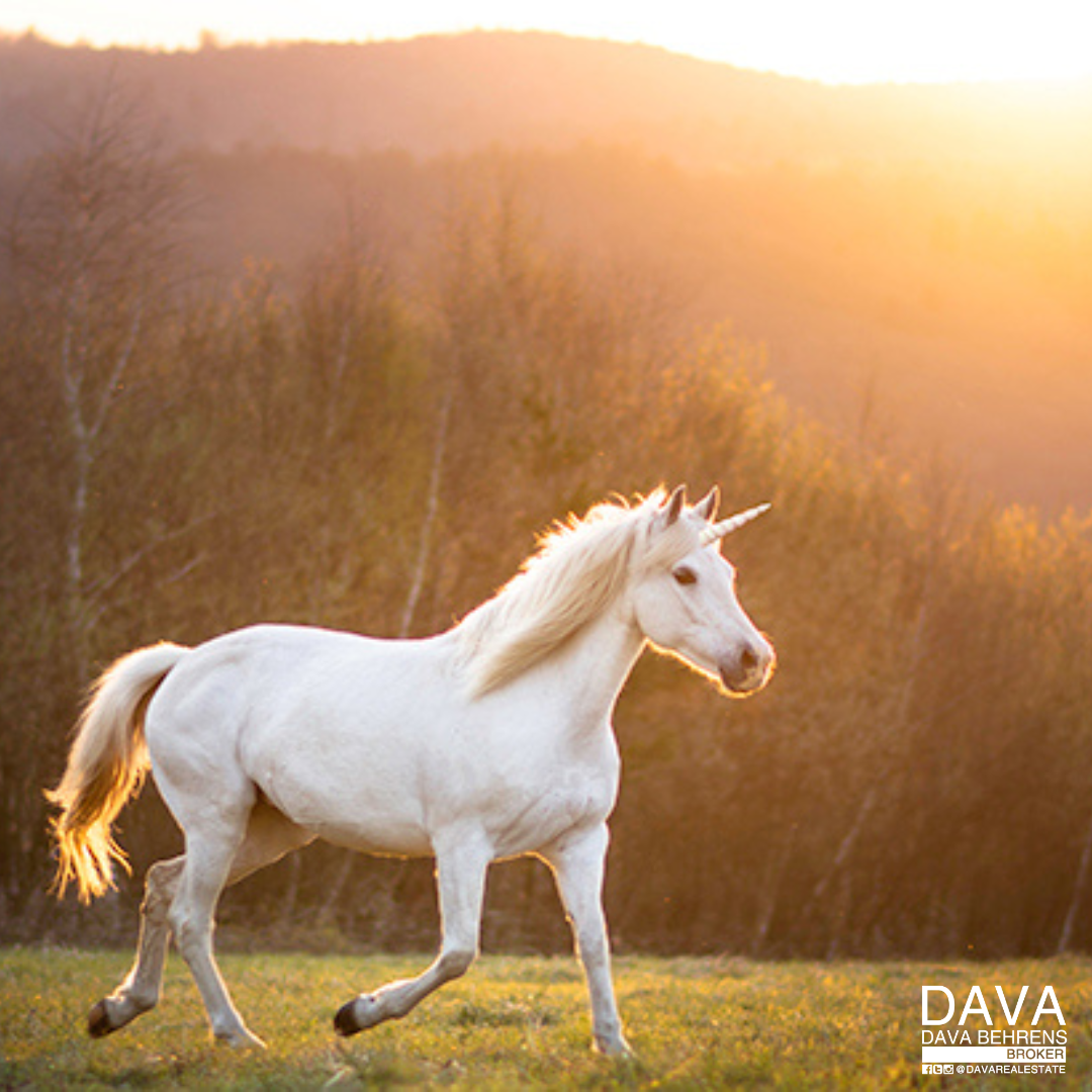 White unicorn running in sunset field.