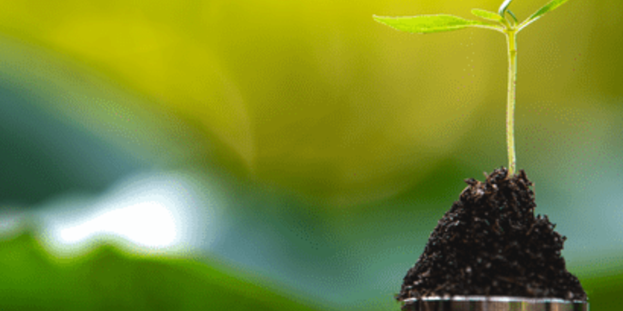 Plant growing from stacked coins.