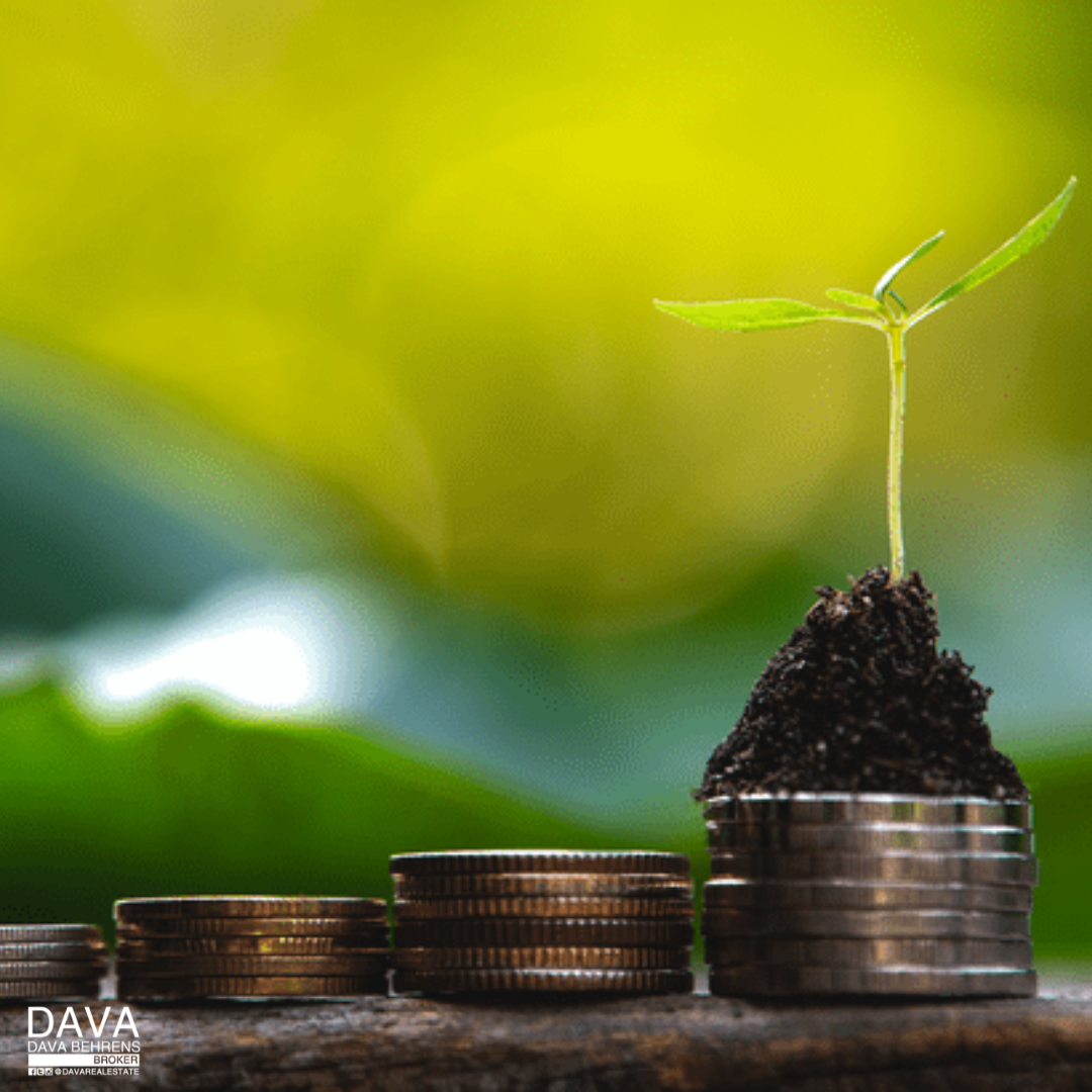 Plant growing from stacked coins.