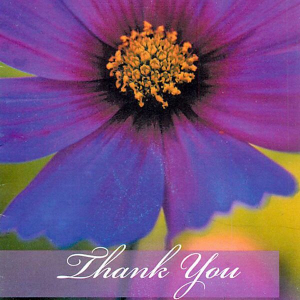 Purple flower with "Thank You" text.