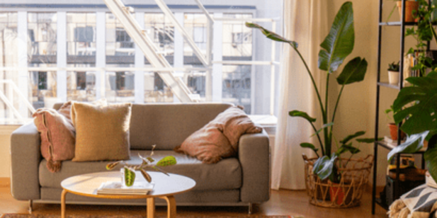 Cozy living room with plants and natural light.
